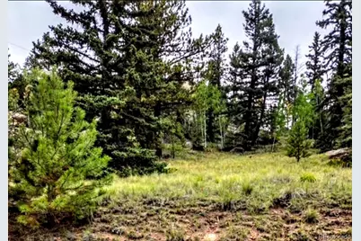 987 Eagle Rock Road, Florissant, CO 80816 - Photo 2