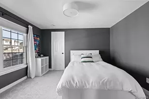 8855 Wild Iris Run, Highlands Ranch, CO 80126 - Photo 28