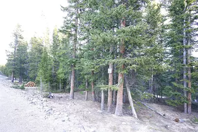 210 Silverheels Place, Fairplay, CO 80440 - Photo 4