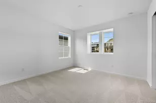 8828 Whiteclover St, Littleton, CO 80125 - Photo 22