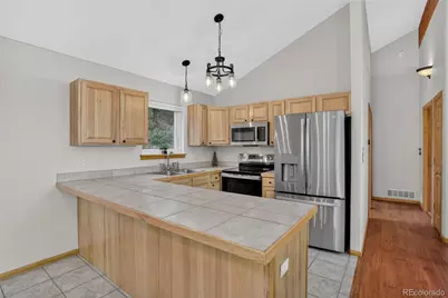 261 Mount Bailey Drive, Bailey, CO 80421 - Photo 8