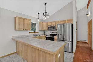 261 Mt Bailey Dr, Bailey, CO 80421 - Photo 8