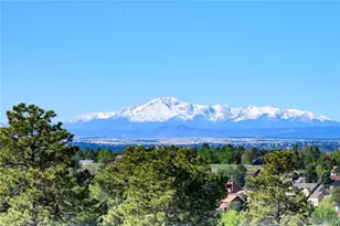 8690 Preservation Trail, Parker, CO 80134 - Photo 4
