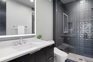 8690 Preservation Trail, Parker, CO 80134 - Photo 42