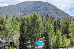 392 Wild Irishman Rd, Dillon, CO 80435 - Photo 32