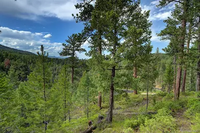 6855 Lynx Lair Road, Evergreen, CO 80439 - Photo 6