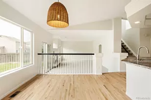 19926 E 40th Pl, Denver, CO 80249 - Photo 10