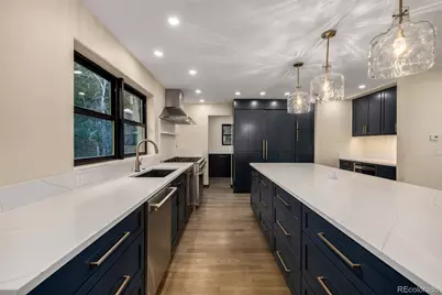 205 Loop Drive, Georgetown, CO 80444 - Photo 6