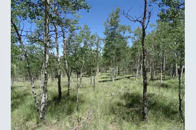 782 Bowstring Road, Como, CO 80432 - Photo 22