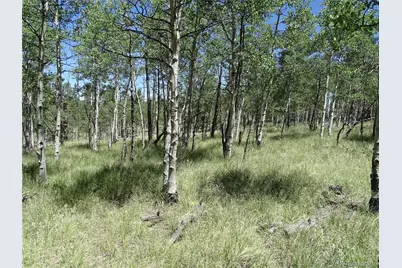 782 Bowstring Road, Como, CO 80432 - Photo 6