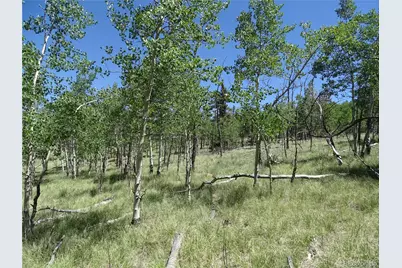 782 Bowstring Road, Como, CO 80432 - Photo 16