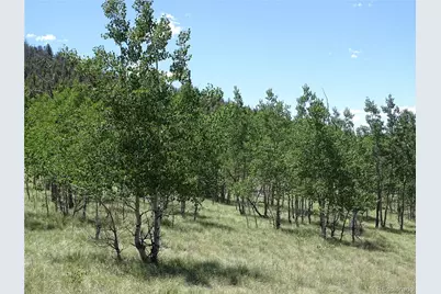 782 Bowstring Road, Como, CO 80432 - Photo 24