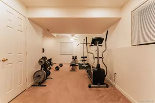 19066 E Berry Dr, Aurora, CO 80015 - Photo 40