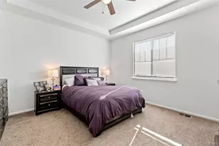 3673 Champagne Ave, Castle Rock, CO 80109 - Photo 14