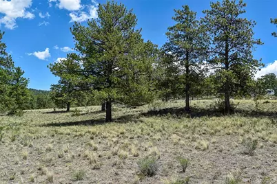 4278 County Road 71, Guffey, CO 80820 - Photo 20