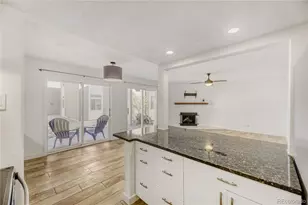 3436 S Locust St, Denver, CO 80222 - Photo 8