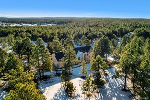 725 Lancers Ct W, Monument, CO 80132 - Photo 34