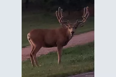 725 Lancers Court W, Monument, CO 80132 - Photo 48