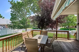 1 Birmingham Ct, Highlands Ranch, CO 80130 - Photo 32