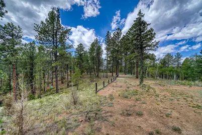 2927 Pathfinder Road, Florissant, CO 80816 - Photo 28