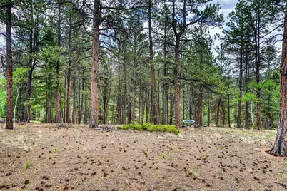 2927 Pathfinder Road, Florissant, CO 80816 - Photo 32