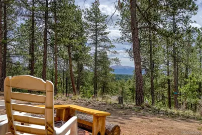 2927 Pathfinder Road, Florissant, CO 80816 - Photo 12