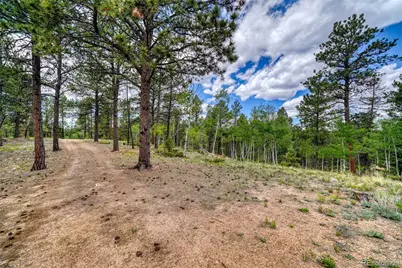 2927 Pathfinder Road, Florissant, CO 80816 - Photo 8