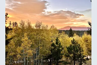 2927 Pathfinder Road, Florissant, CO 80816 - Photo 4