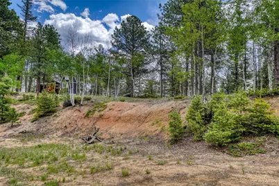 2927 Pathfinder Road, Florissant, CO 80816 - Photo 30