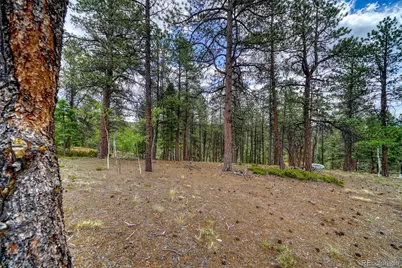 2927 Pathfinder Road, Florissant, CO 80816 - Photo 34