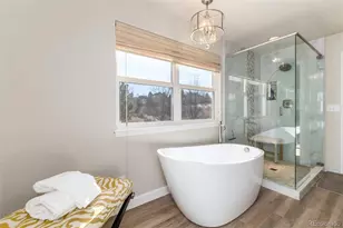 434 Thorn Apple Way, Castle Pines, CO 80108 - Photo 22