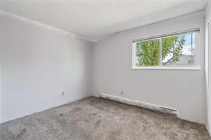 4310 Loomis Ave, Colorado Springs, CO 80906 - Photo 16