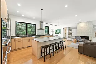 3010 S Franklin St, Denver, CO 80210 - Photo 4