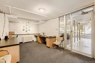 1196 N Grant Street, Denver, CO 80203 - Photo 12