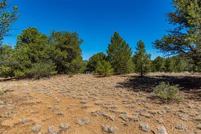 948 White Wing Way, Cotopaxi, CO 81223 - Photo 10