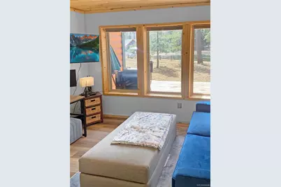 172 Elk Meadow Run, Antonito, CO 81120 - Photo 8