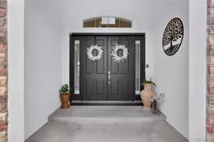 19950 E Shady Ridge Rd, Parker, CO 80134 - Photo 4