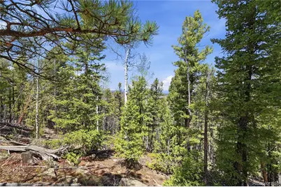 7070 Cr 1, Cripple Creek, CO 80813 - Photo 20