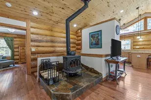 248 Puma Pl, Fairplay, CO 80440 - Photo 8