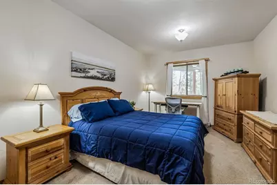 248 Puma Place, Fairplay, CO 80440 - Photo 16