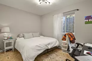 5841 Alton St, Denver, CO 80238 - Photo 36