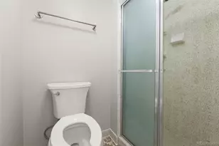 955 Eudora St, Denver, CO 80220 - Photo 16