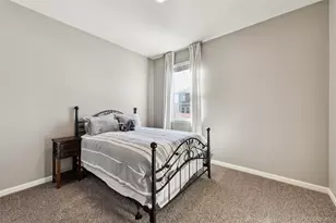 14101 Scarlet Sage St, Parker, CO 80134 - Photo 14