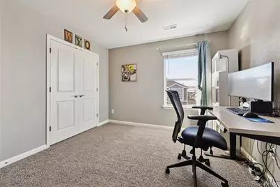 14101 Scarlet Sage Street, Parker, CO 80134 - Photo 24