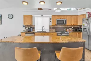 19531 E 40th Pl, Denver, CO 80249 - Photo 6