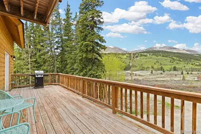 52 Coot Place, Alma, CO 80420 - Photo 38