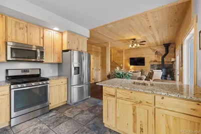 52 Coot Place, Alma, CO 80420 - Photo 8