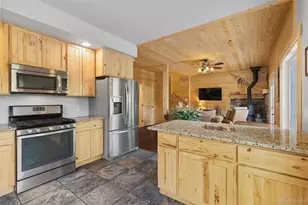 52 Coot Pl, Alma, CO 80420 - Photo 8