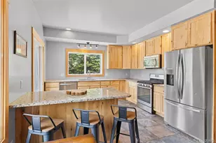 52 Coot Pl, Alma, CO 80420 - Photo 6