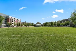 7700 E 29th Street Ave, Denver, CO 80238 - Photo 12